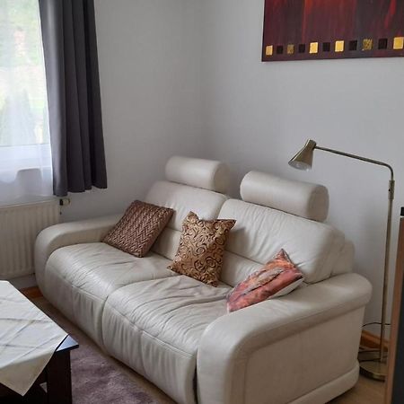 Ferienwohnung Christel Hirschhorn-Neckar Ngoại thất bức ảnh