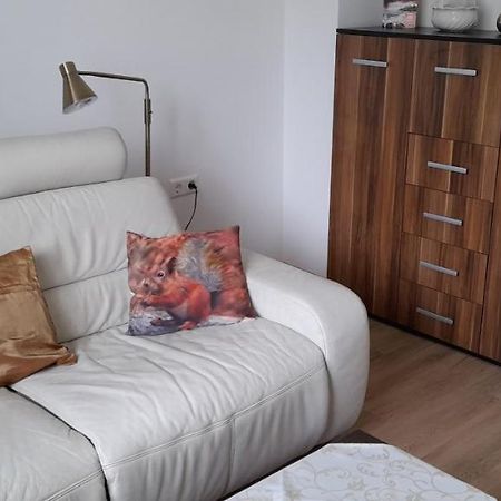 Ferienwohnung Christel Hirschhorn-Neckar Ngoại thất bức ảnh