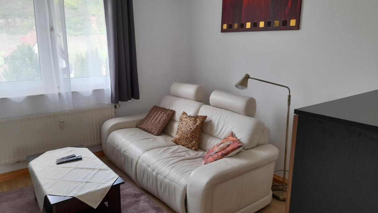 Ferienwohnung Christel Hirschhorn-Neckar Ngoại thất bức ảnh