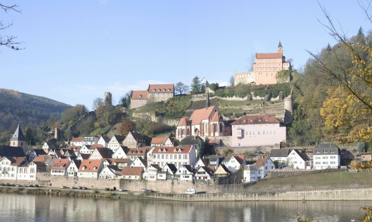 Ferienwohnung Christel Hirschhorn-Neckar Ngoại thất bức ảnh