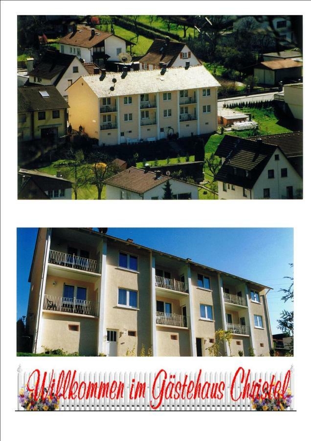 Ferienwohnung Christel Hirschhorn-Neckar Ngoại thất bức ảnh