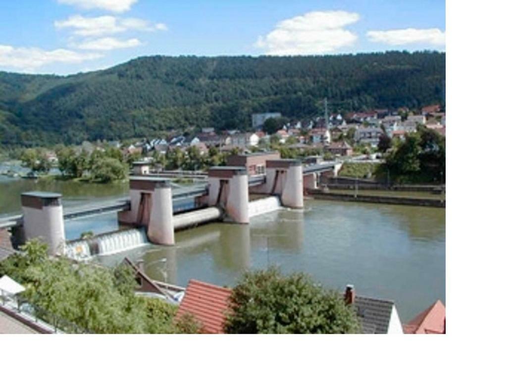 Ferienwohnung Christel Hirschhorn-Neckar Ngoại thất bức ảnh